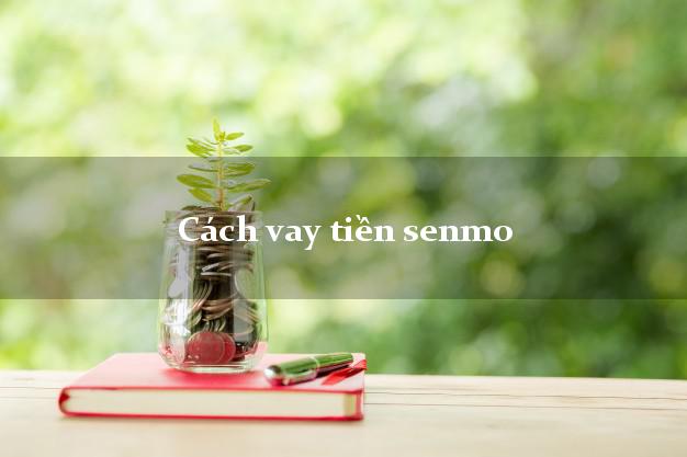 Cách vay tiền senmo