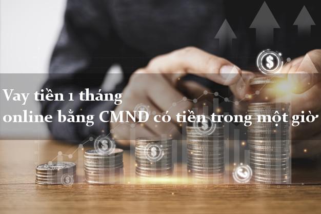 Vay tiền 1 tháng online bằng CMND có tiền trong một giờ